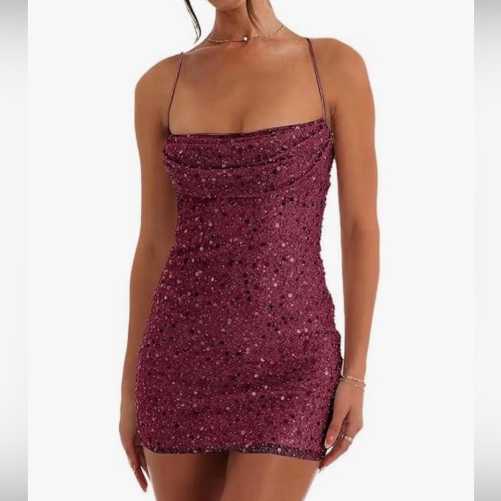 Sparkling Burgundy Mini Dress